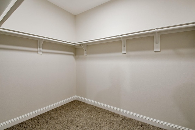 167 Courageous Side Way, Magnolia, TX 77354 - spacious closet with carpet