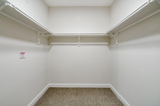 167 Courageous Side Way, Magnolia, TX 77354 - walk in closet with carpet floors