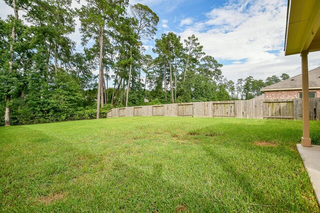 167 Courageous Side Way, Magnolia, TX 77354 - view of yard