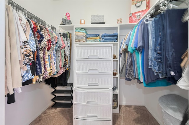 101 Wildrose St, Baytown, TX 77520 - walk in closet featuring carpet flooring