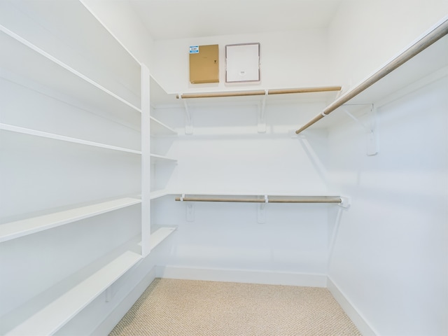 8319 Springwood Canyon Ln, Houston, TX 77055 - spacious closet featuring carpet floors
