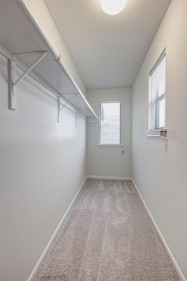 19030 Bee Line Ct, Houston, TX 77073 - photo 11