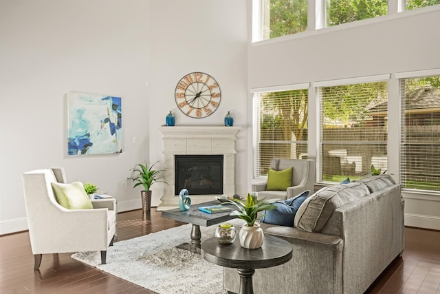 12102 N Founders Shore Dr, Cypress, TX 77433 - living room featuring a high ceiling, a glass covered fireplace, and wood finished floors