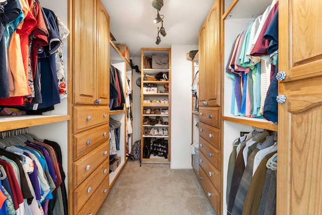 38318 E Sulphur Creek Dr, Magnolia, TX 77355 - spacious closet with light carpet
