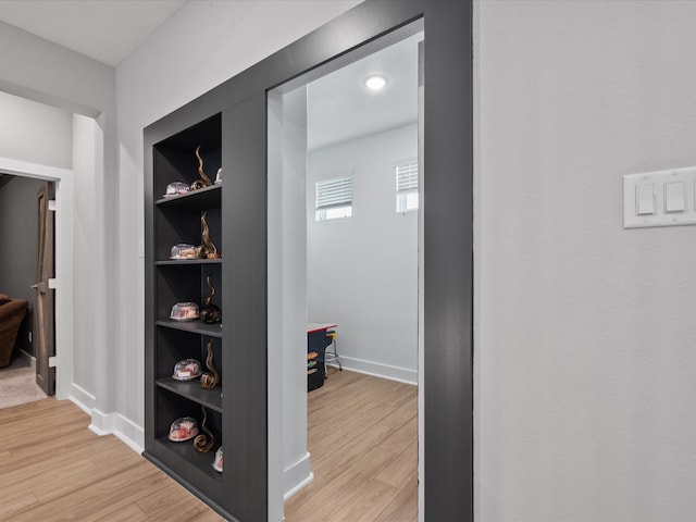 21310 Blue Wood Aster Ct, Cypress, TX 77433 - hall with light wood-style flooring and baseboards