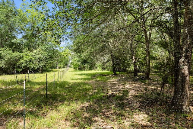 000 Vogelsang Rd, Columbus, TX 78934 - photo 6