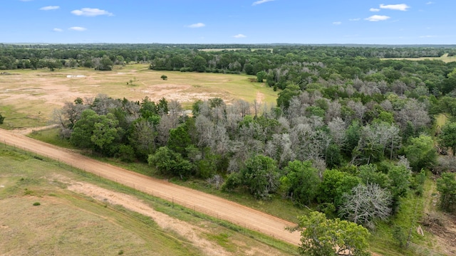 000 Vogelsang Rd, Columbus, TX 78934 - photo 5