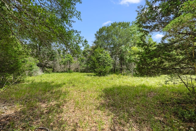 000 Vogelsang Rd, Columbus, TX 78934 - photo 4
