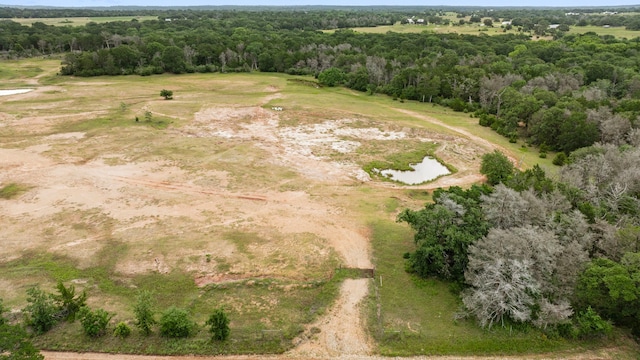 000 Vogelsang Rd, Columbus, TX 78934 - photo 11