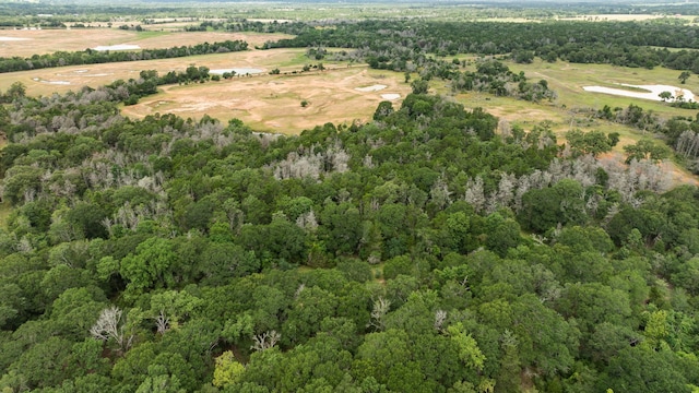 000 Vogelsang Rd, Columbus, TX 78934 - photo 14