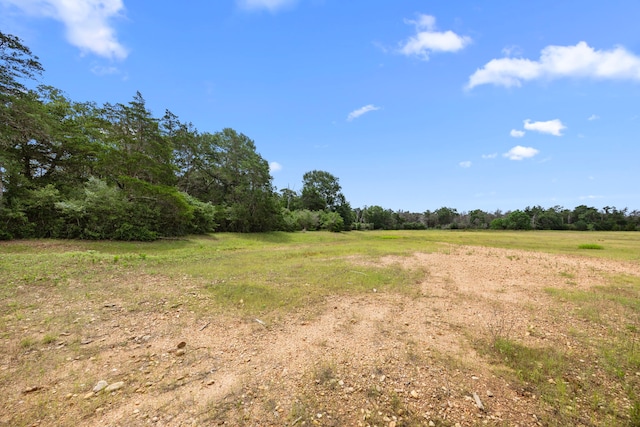 000 Vogelsang Rd, Columbus, TX 78934 - photo 3