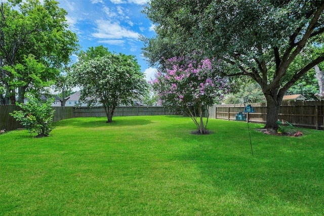 10314 Paintbrush Ln, Sugar Land, TX 77498 - view of fenced backyard