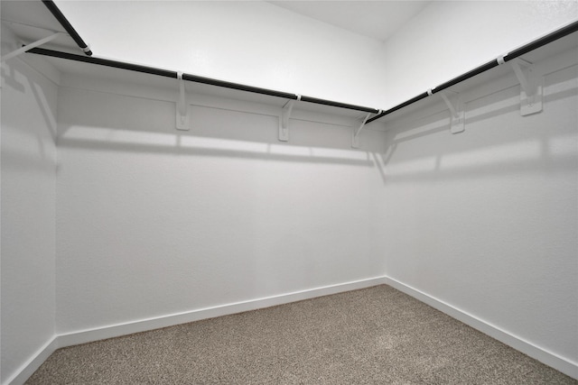 6609 Lahna Oak Dr, Conroe, TX 77304 - spacious closet with carpet