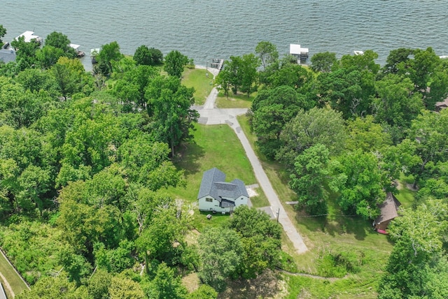 118 Hickory Pnes, Livingston, TX 77351 - aerial view of a nearby body of water
