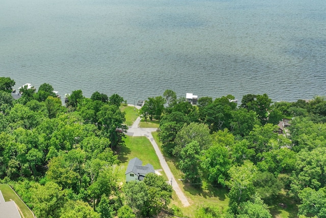 118 Hickory Pnes, Livingston, TX 77351 - bird's eye view of a nearby body of water