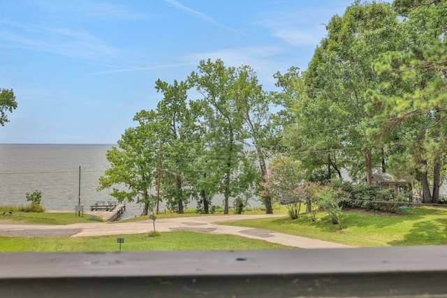 118 Hickory Pnes, Livingston, TX 77351 - water view