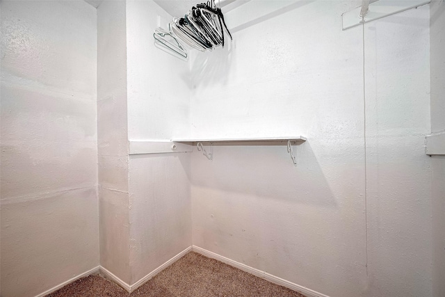 10318 Rockcrest Dr, Houston, TX 77041 - walk in closet with carpet floors