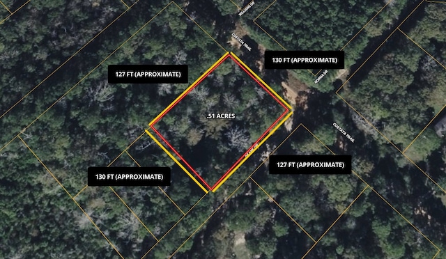 0 Deane Dr, Livingston, TX 77351