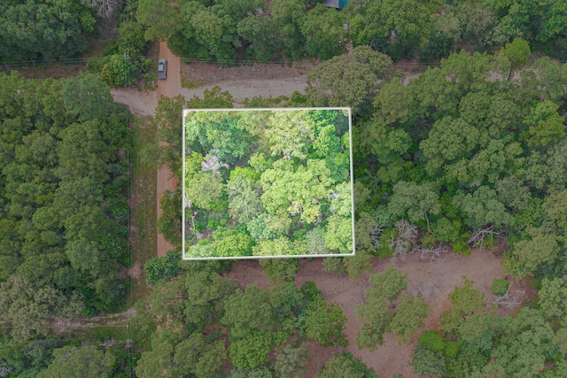 0 Deane Dr, Livingston, TX 77351