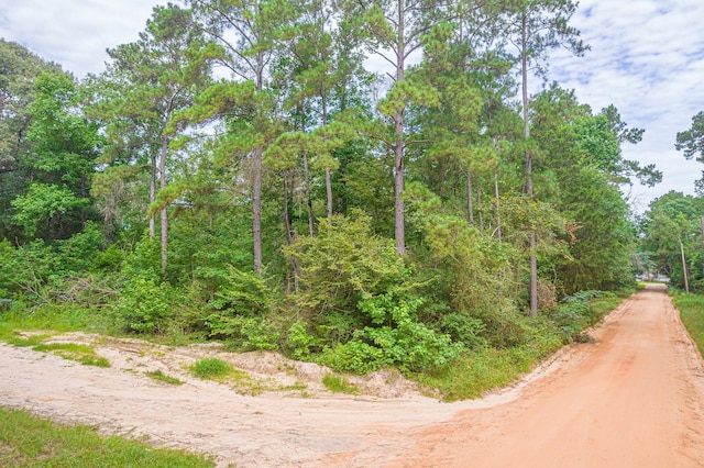 0 Deane Dr, Livingston, TX 77351