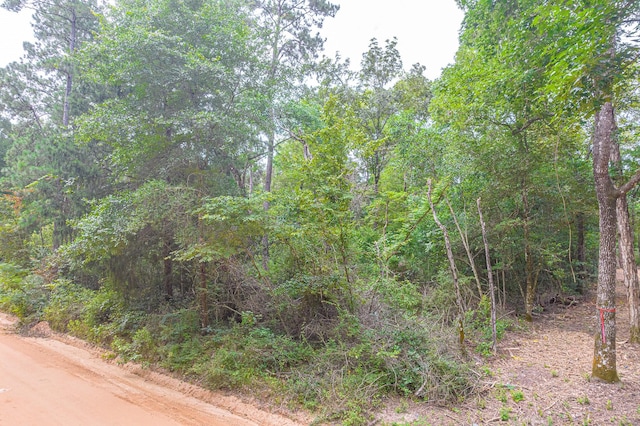 0 Deane Dr, Livingston, TX 77351