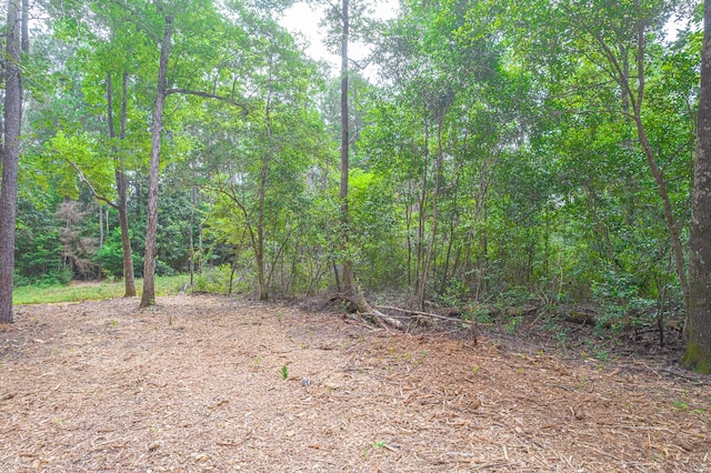 0 Deane Dr, Livingston, TX 77351
