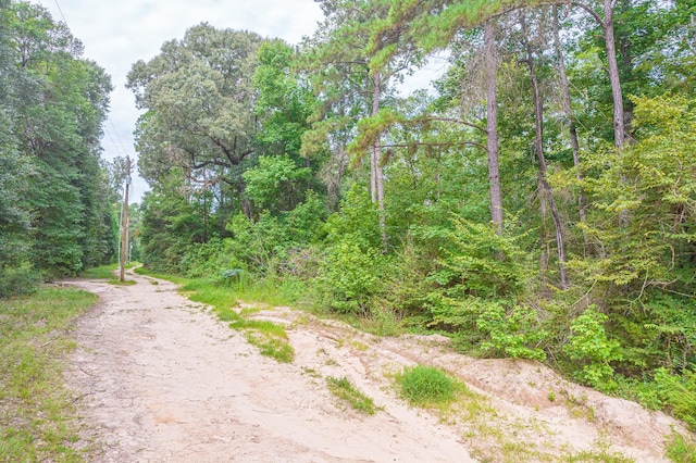 0 Deane Dr, Livingston, TX 77351