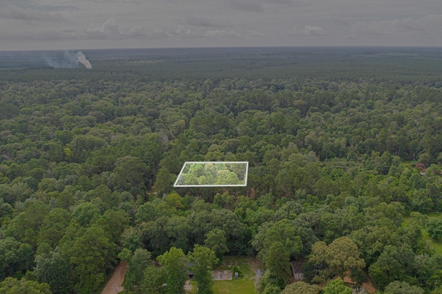 0 Deane Dr, Livingston, TX 77351