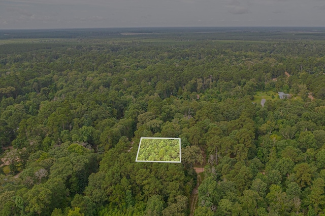 0 Deane Dr, Livingston, TX 77351