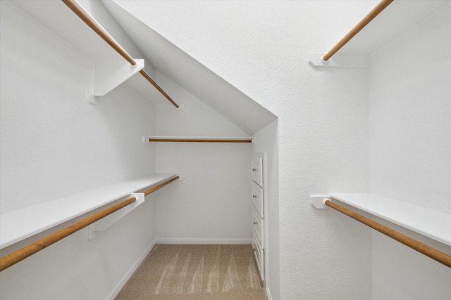 15411 Driftwood Oak Ct, Houston, TX 77059 - walk in closet with light carpet