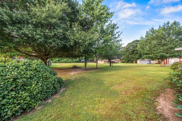 91 E Post Oak Ln, Shepherd, TX 77371 - view of green lawn