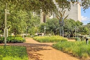 915 N San Jacinto St, Houston, TX 77002 - view of community