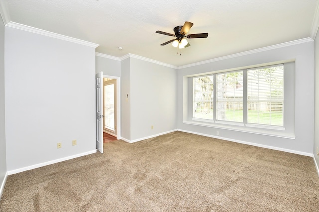 3510 Water Locust Dr, Sugar Land, TX 77479 - photo 18