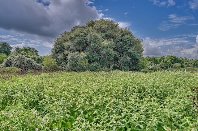0000 Bartlett Rd, Sealy, TX 77474 - photo 12