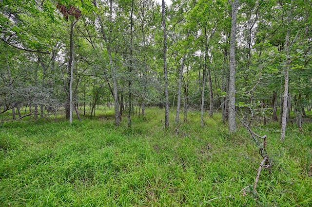 0000 Bartlett Rd, Sealy, TX 77474 - photo 9