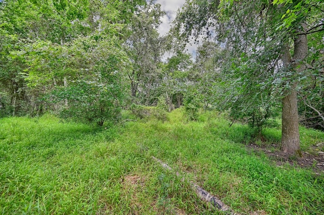 0000 Bartlett Rd, Sealy, TX 77474 - photo 10