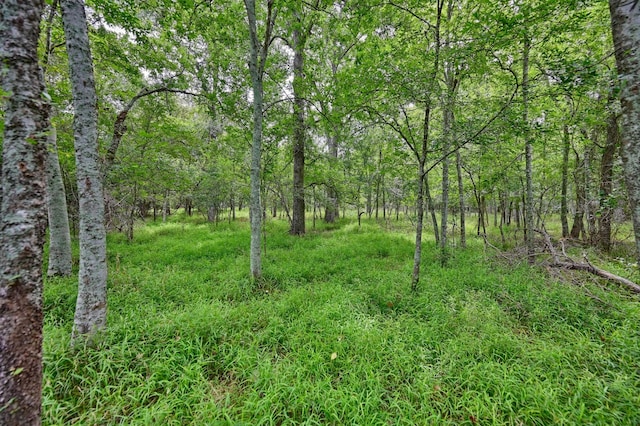 0000 Bartlett Rd, Sealy, TX 77474 - photo 11