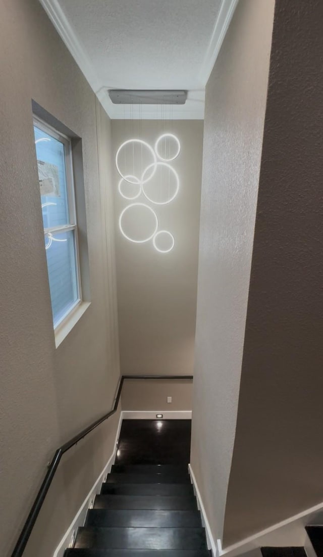 9134 Brandon St, Houston, TX 77051 - photo 33
