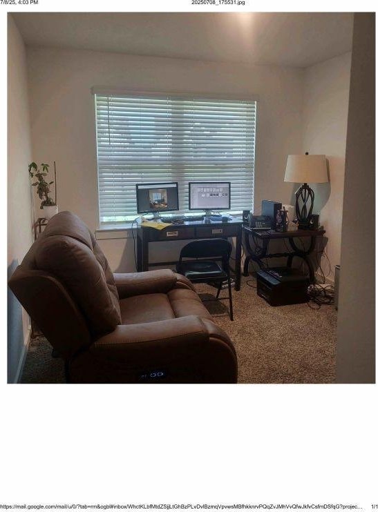 3914 Beltingham Bend Way, Fulshear, TX 77441 - office with carpet floors