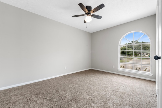 11418 Sagecountry Dr, Houston, TX 77089 - photo 19