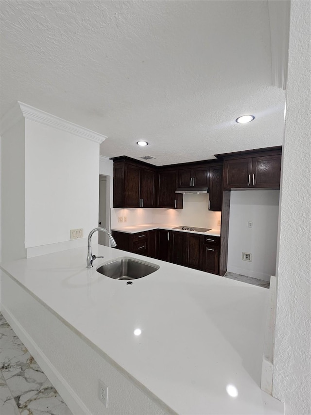 9207 Dairy View Ln, Houston, TX 77099 - kitchen featuring black electric cooktop, marble look tiles, dark brown cabinets, under cabinet range hood, and light countertops