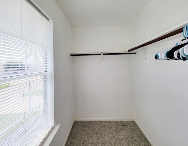 9511 Alex Springs Ln, Houston, TX 77044 - photo 21