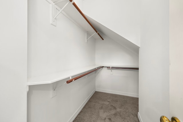 1922 Stormcroft Cir, Katy, TX 77450 - walk in closet with carpet flooring