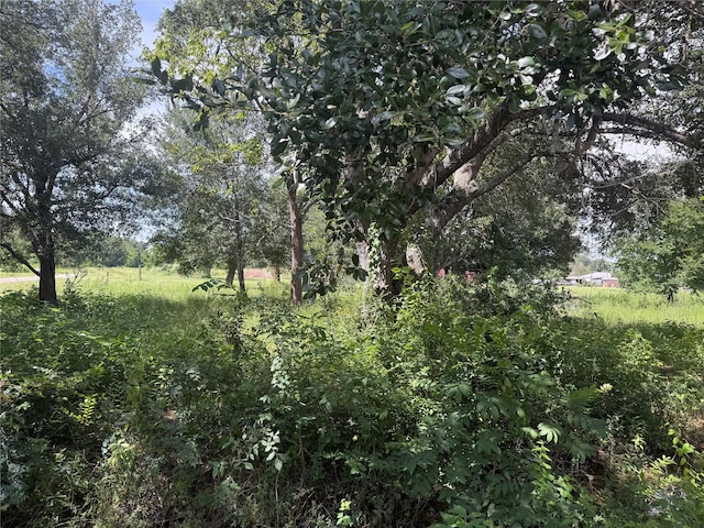 20704 Pearl St, Prairie View, TX 77484 - photo 1