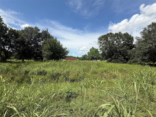 20704 Pearl St, Prairie View, TX 77484 - photo 6