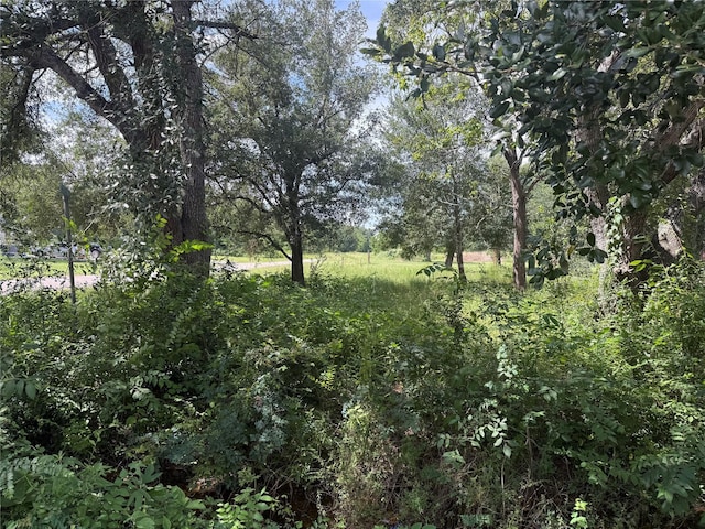 20704 Pearl St, Prairie View, TX 77484 - photo 2