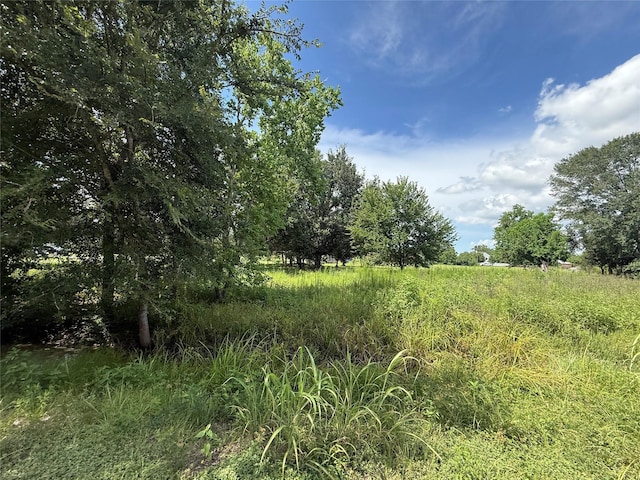 20704 Pearl St, Prairie View, TX 77484 - photo 3