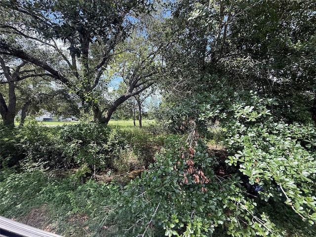 20704 Pearl St, Prairie View, TX 77484 - photo 4