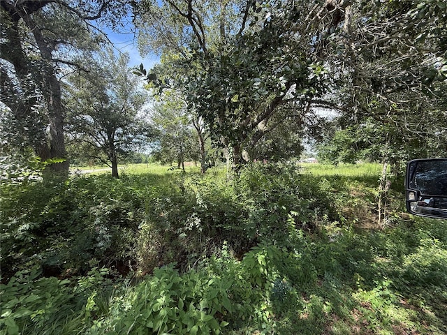 20704 Pearl St, Prairie View, TX 77484 - photo 5