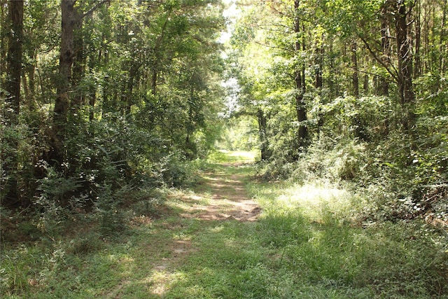 TBD 10th St, Shepherd, TX 77371 - photo 1